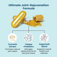Provitalize | Best Natural Menopause Probiotic